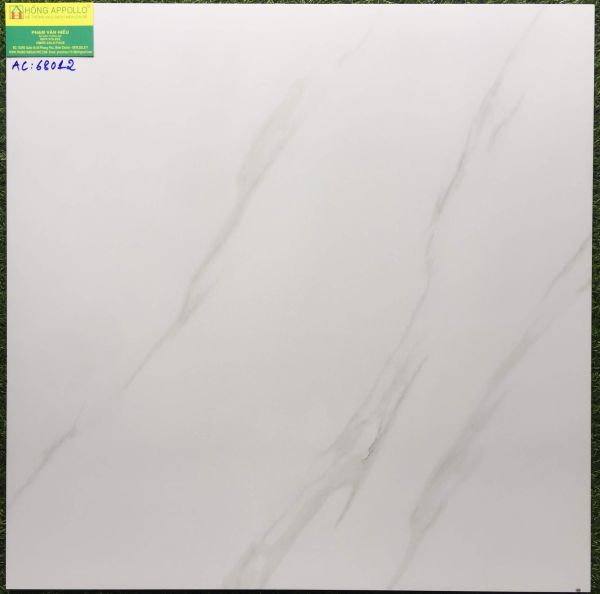 Gạch bóng kiếng toàn phần 60x60 vân mây cmc AC68012 2983