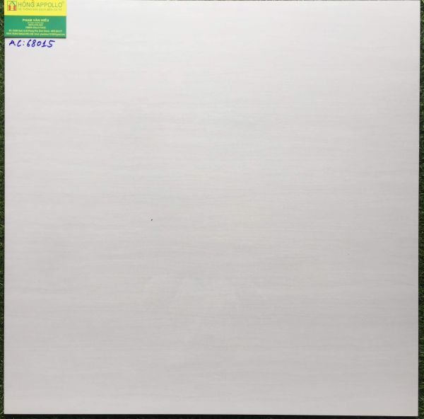 Gạch bóng kiếng toàn phần 60x60 cmc AC68015 2984