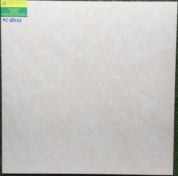 Gạch lát nền đẹp 60x60 cmc bóng kiếng  AC68016 2985