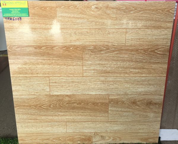 Mẫu gạch viglcera 60x60 giả vân gỗ đá bóng kiếng TPA6003 2869
