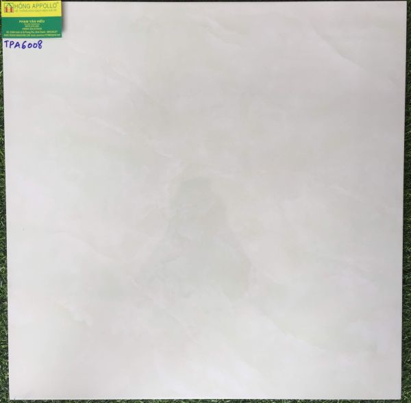 Mẫu gạch viglcera 60x60 vân xanh nhạt đá bóng kiếng TPA6008 2870