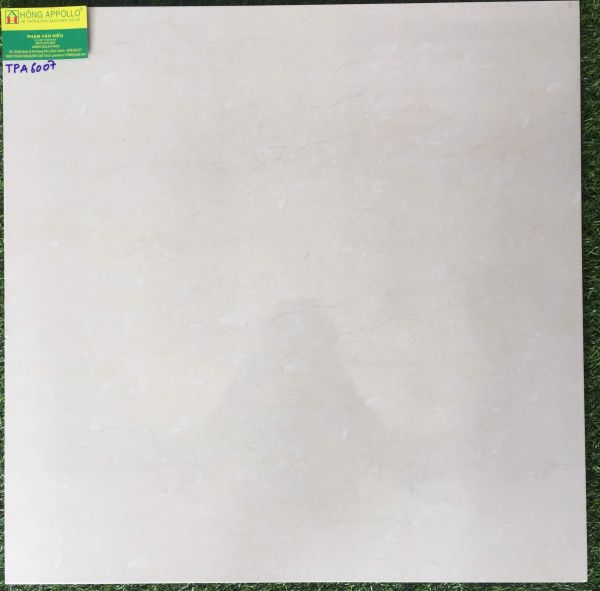 Mẫu gạch viglcera 60x60 vân xám kem nhạt đá bóng kiếng TPA6007 2871