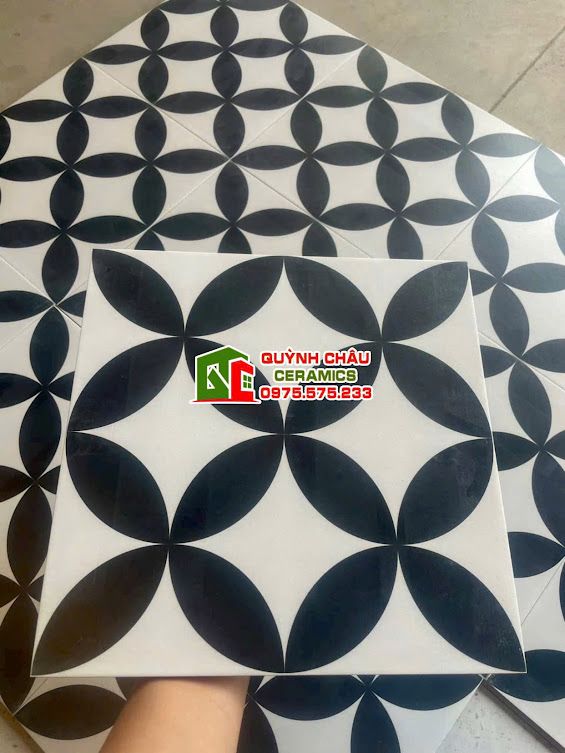 Gạch bông 30x30 hoạ tiết đồng tiền