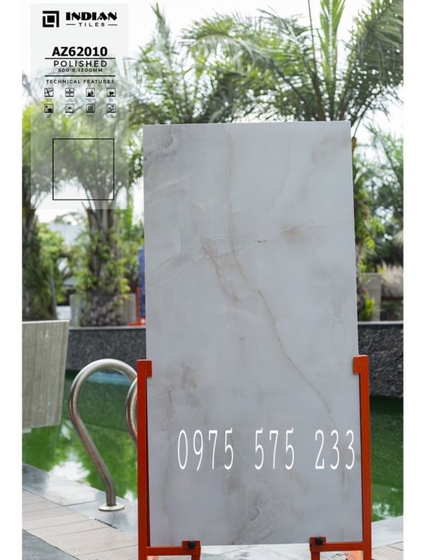 Gạch cao cấp ấn độ 60x120 lát nền màu đẹp 10