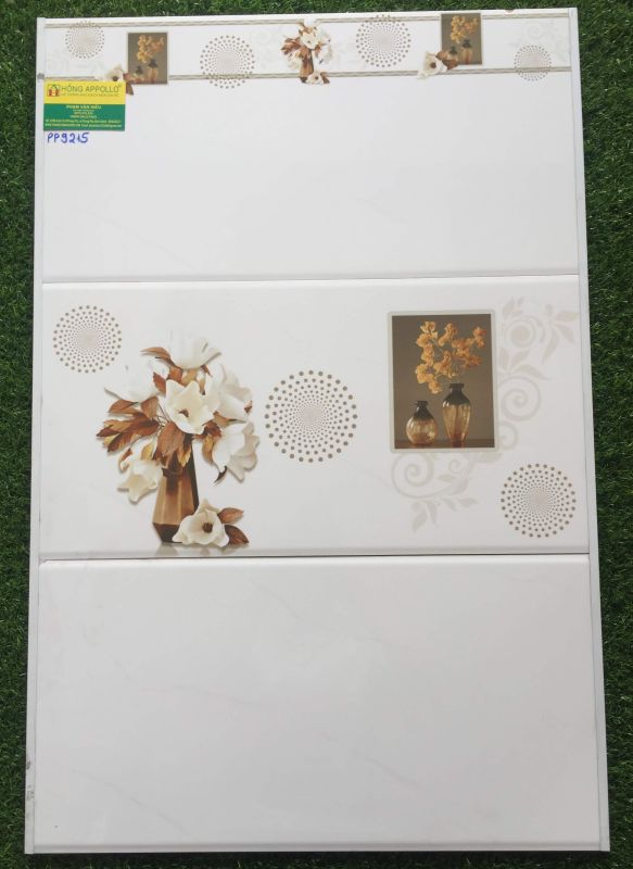 Gạch 30x60 ốp tường VICENZA đẹp 9215PP 2584