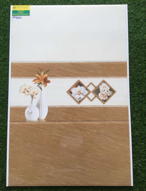 Gạch ốp tường VICENZA 30x60 phòng khách 9221PP 2585