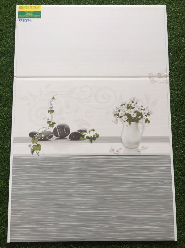 Gạch ốp tường 30x60 VICENZA 9224PP 2586