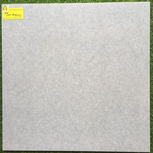 Gạch bóng kiếng 60x60 MIKADO E6103TTV 2529