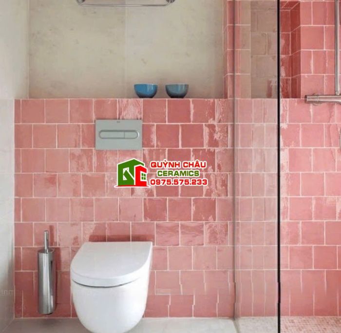 Các mẫu gạch thẻ trang trí 12x12 cm màu sắc ấn tượng