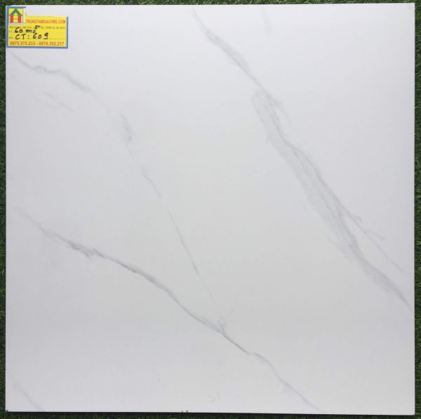 Gạch lát nền 60x60 đá bóng kiếng á mỹ 609 2404