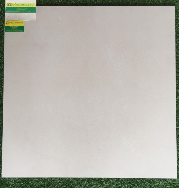 Gạch lát nền 80x80 tasa cao cấp, 8033 2165