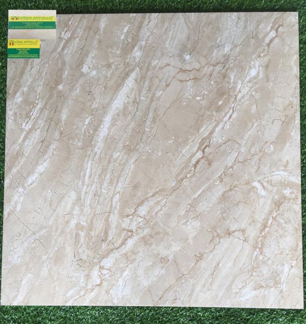 Gạch bóng kiếng 80x80 tasa cao cấp, 8052 2166
