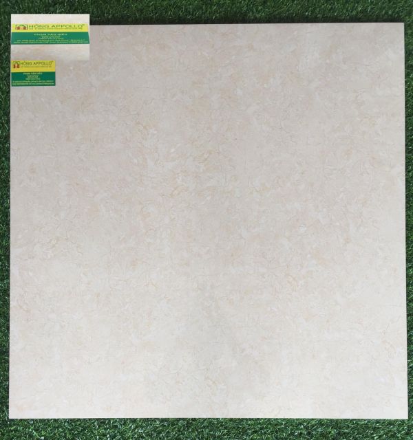 Gạch lát nền bóng kiếng tasa cao cấp, 8053 2167