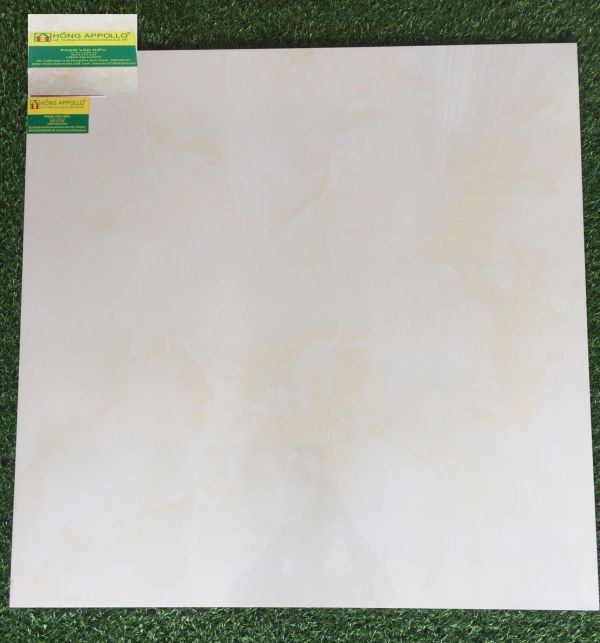Gạch lát nền 80x80 bóng kiếng tasa cao cấp, 8054 2168
