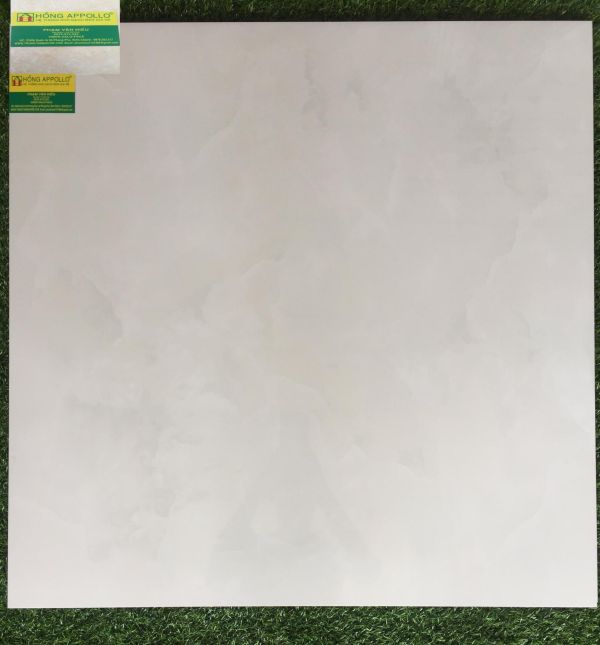 Gạch bóng kiếng 80x80 tasa 8055 2169