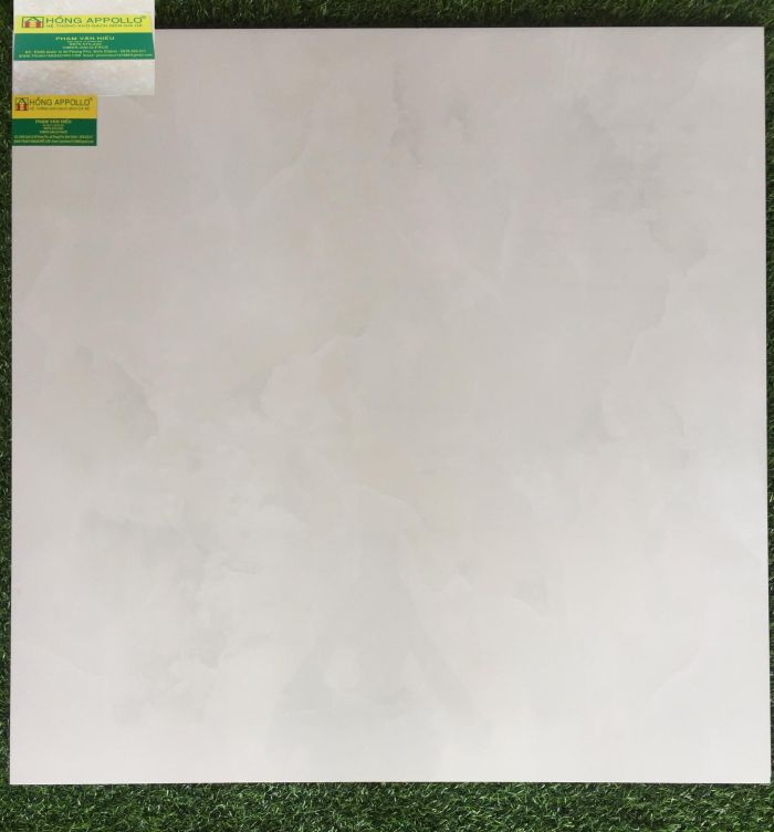 Gạch bóng kiếng 80x80 tasa 8055 2169