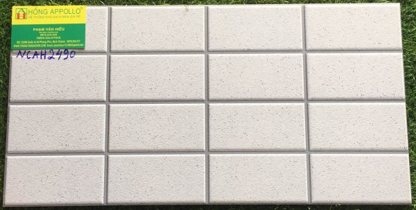 Gạch trang trí 25x50 sugar mới đẹp 2490NCAH