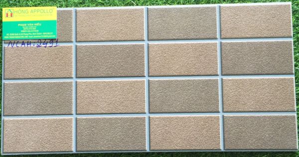 Gạch trang trí đẹp 25x50 sugar 2491NCAH