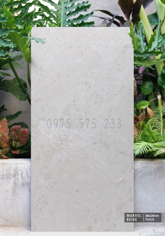 Gạch khổ to 60x120 granite bóng kính ấn độ