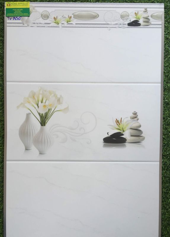 Gạch ốp tường BNC 30x60 giá rẻ 2616