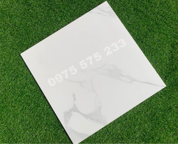 Gạch trắng vân mờ 60x60 lát nền ấn độ 3828