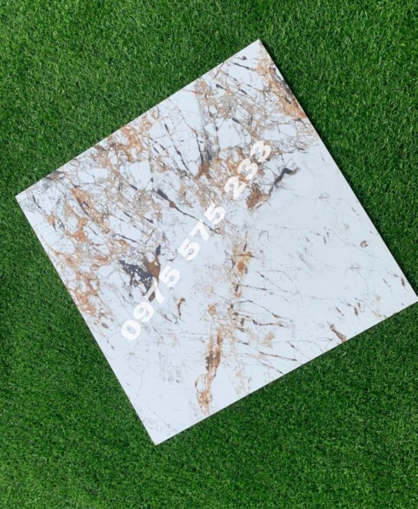 Gạch lát nền vân đẹp đá mờ 60x60 ấn độ sang trọng 3829