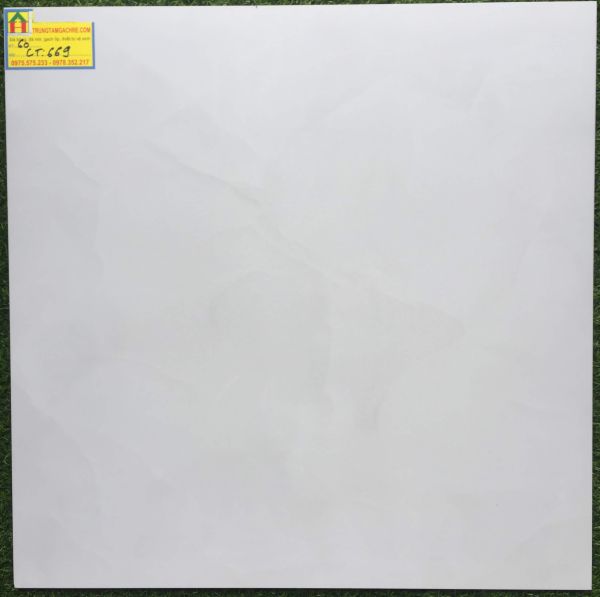 Gạch lát nền đá bóng kiếng 60x60  ct669 2405