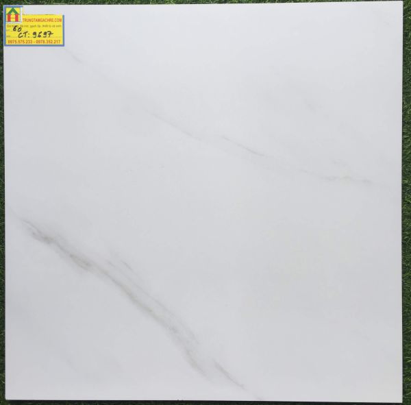 Gạch lát nền 60x60 bóng kiếng ct9697 2407