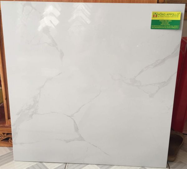 Gạch lát nền giá rẻ 60x60 bóng kiếng .6063