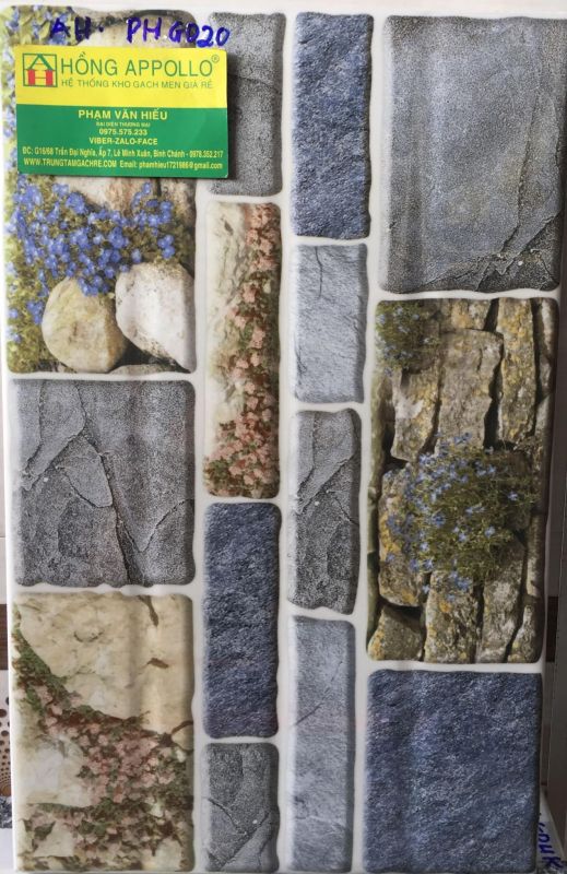 GẠCH ỐP TƯỜNG TRANG TRÍ  25X40 GIÁ RẺ 1565