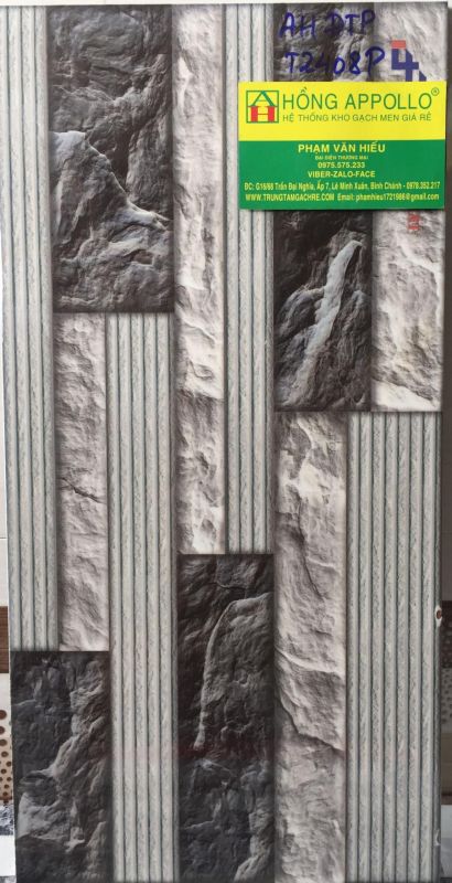 Gạch trang trí 200x400 1586