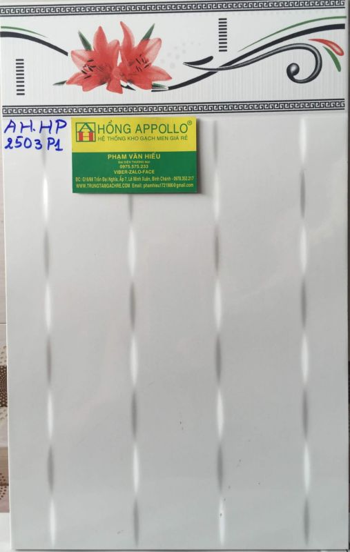 GẠCH ỐP TƯỜNG 25X40 GIÁ RẺ 1594
