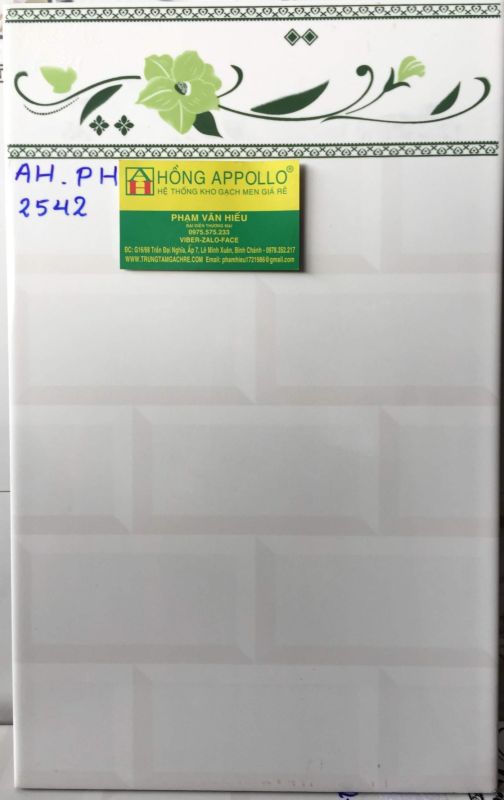 GẠCH ỐP TƯỜNG 25X40 GIÁ RẺ 1601