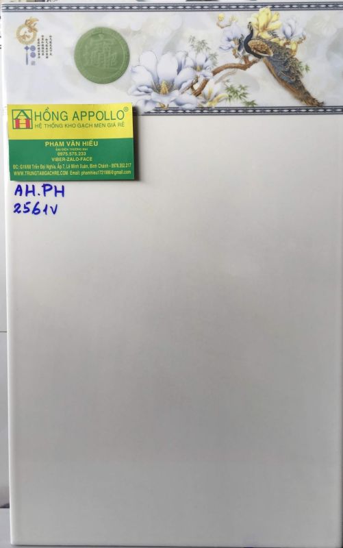 GẠCH ỐP TƯỜNG 25X40 GIÁ RẺ 1608
