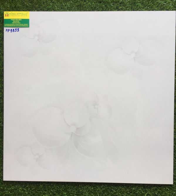 Gạch lát nền bóng kiếng 60x60 cao cấp, 9933 2156