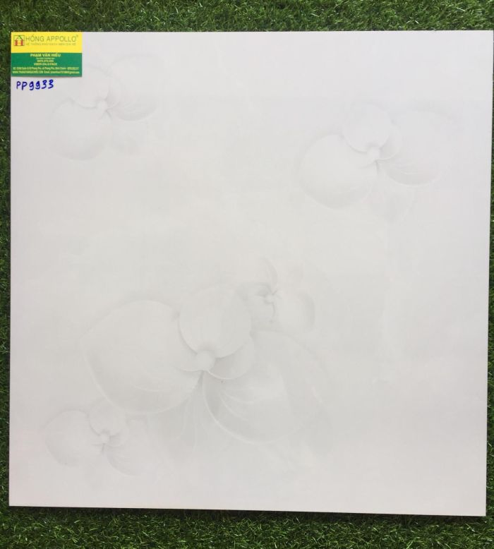 Gạch lát nền bóng kiếng 60x60 cao cấp, 9933 2156