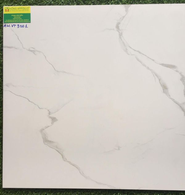 Gạch bóng kiếng 60x60 vitto 3001 2221