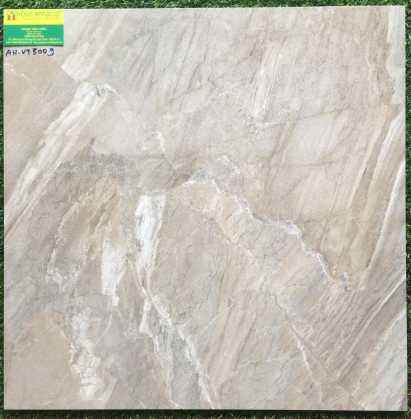 Gạch bóng kiếng toàn phần 60x60 vitto 3009 2222