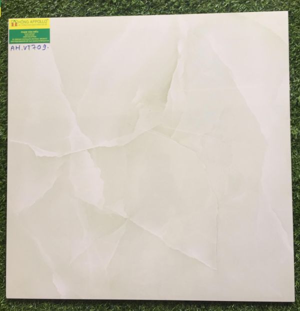 Gạch lát nền bóng kiếng 60x60 vitto 709 2212