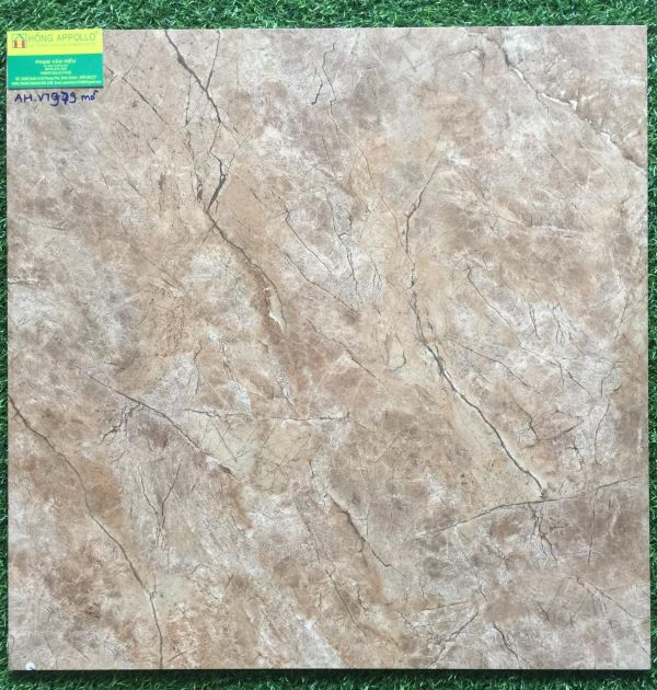 Gạch lát nền 60x60 vitto đá mờ giá rẻ 979 2217
