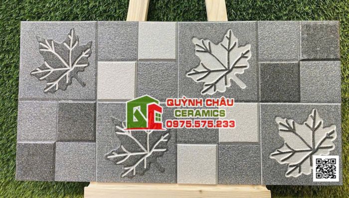 Gạch ấn độ trang trí 30x60 khuôn nổi