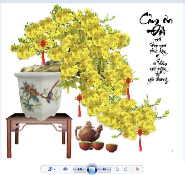 Tranh gạch 3D hoa mai kim tuyến sang trọng