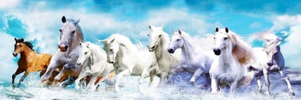 Tranh kính cường lực ngựa phi nước đại